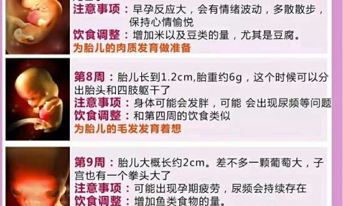 苦榴皮的药用网 - 为你提供苦榴树皮是什么、苦榴莲图片