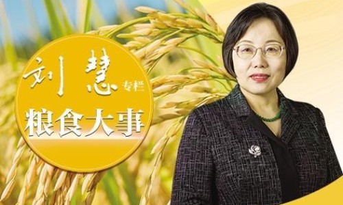 苦榴皮图片-苦榴皮的药用网 - 为你提供苦榴树皮是什么、苦榴莲图片